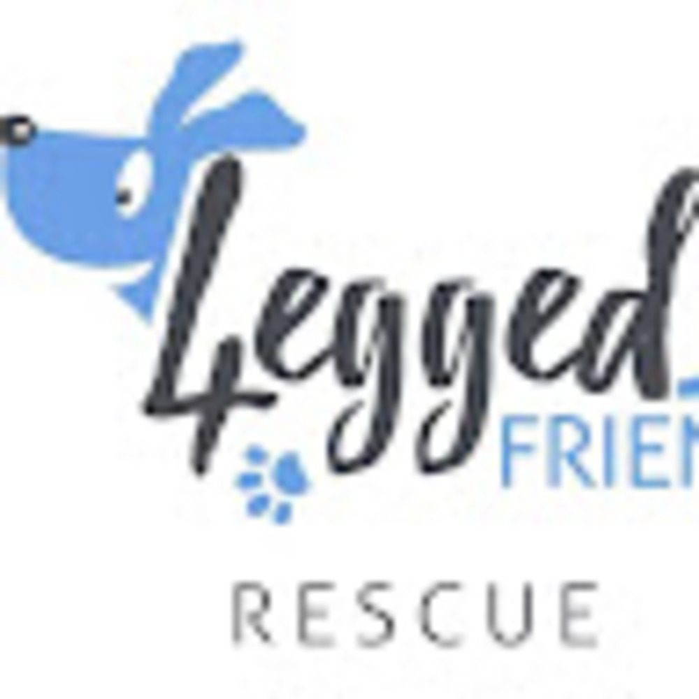 Meet your Posher, 4 legged friends